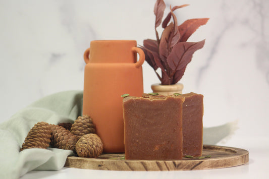 Pumpkin Spice Bar Soap